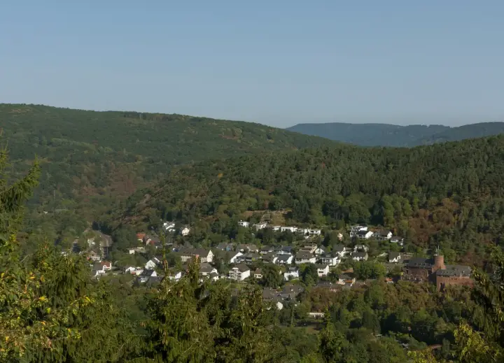 Heimbach 2