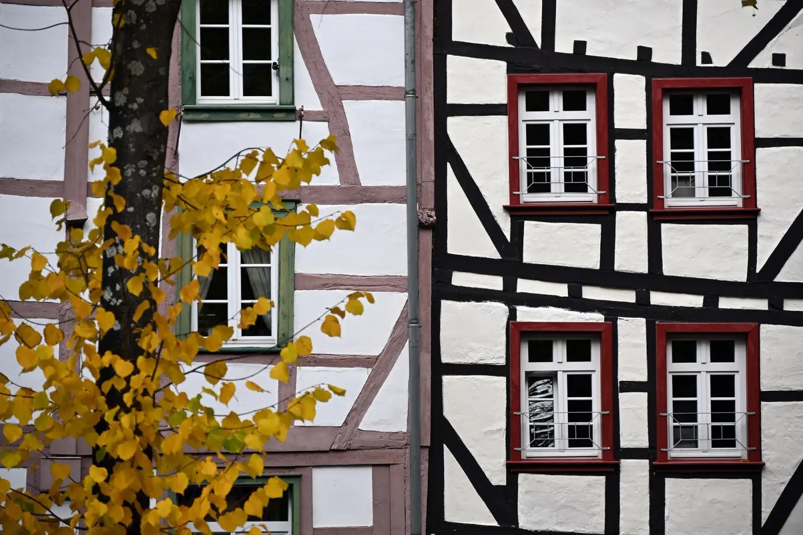 Monschau 1