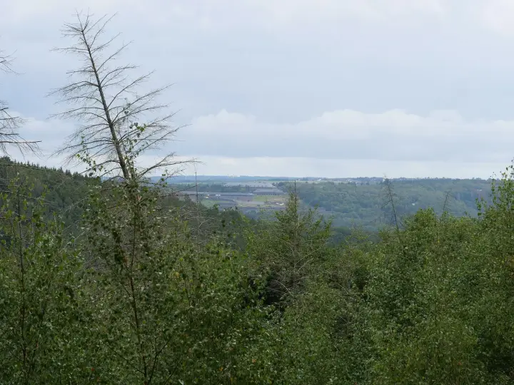 Nationaal Park Eifel 5