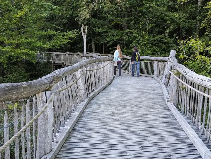 Wandelen in de wildernis