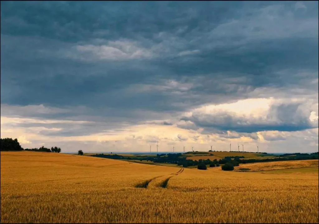 See & Natur 7